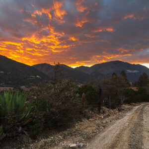 Nubes, Lluvia, Cielo Rojo, Camino, Pinos, Arbustos. Atardecer en Mesa.