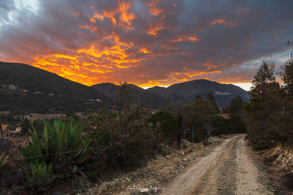 Nubes, Lluvia, Cielo Rojo, Camino, Pinos, Arbustos. Atardecer en Mesa.