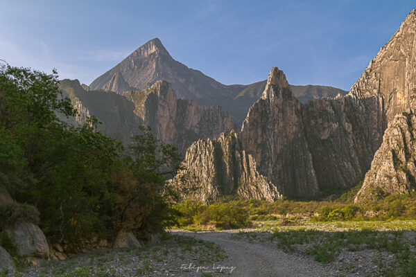 Montañas, cielo azul, Vegetacion, senderos. Wirikuta.