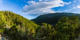 nubes blancas, cielo azul, sierra, pinos.