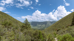 cielo azul, nubes blanca, pinos, monta&ntilde;a. sierra de las nieves.