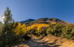 oto&ntilde;o, alamillos, sendero, cielo azul, vegetacion, monta&ntilde;a.
