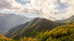 monta&ntilde;a, cielo azul, nubes blancas, pinos, vegetacion, arbustos.