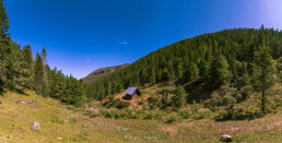 cielo azul, caba&ntilde;a de madera, bosque, pinos, vegetacion.