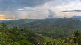 atardecer, vegetacion, cielo axul, nubes blancas, luz de tarde, monta&ntilde;as.