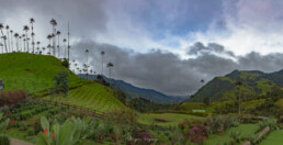 palmas, monta&ntilde;a, cielo azul, vegetacion, arboles, salento, colombia.