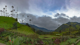 palmas de cera, valle de cocora, vegetacion, monta&ntilde;as, cielo azul, nubes blancas