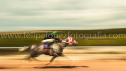 barrido, caballo, jockey, pista, arboles, vegetacion