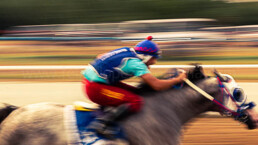 barrido, caballo, jockey, pista, arboles, vegetacion