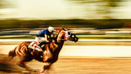 caballo, jinete, barrido, carrera