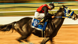 caballo, jinete, barrido, carrera