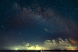 via lactea, estrellas, vegetacion, cielo nocturno.