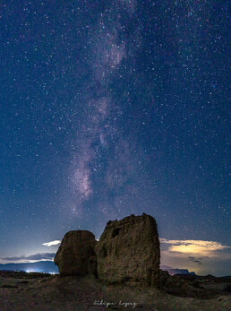 via lactea, estrellas, vegetacion, cielo nocturno.