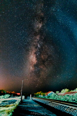 via lactea, estrellas, vegetacion, cielo nocturno.