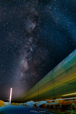 via lactea, estrellas, vegetacion, cielo nocturno.